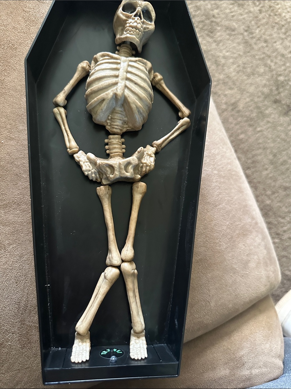 12 in. Animated singing dancing Skeleton Coffin Decor